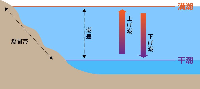 潮汐周期