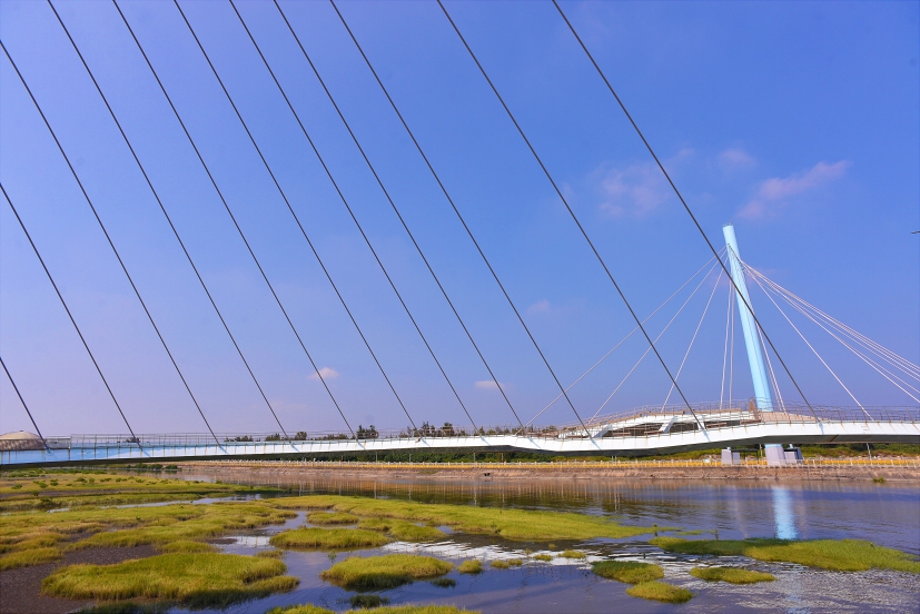 Gaomei Wetlands Landscape Bridge
